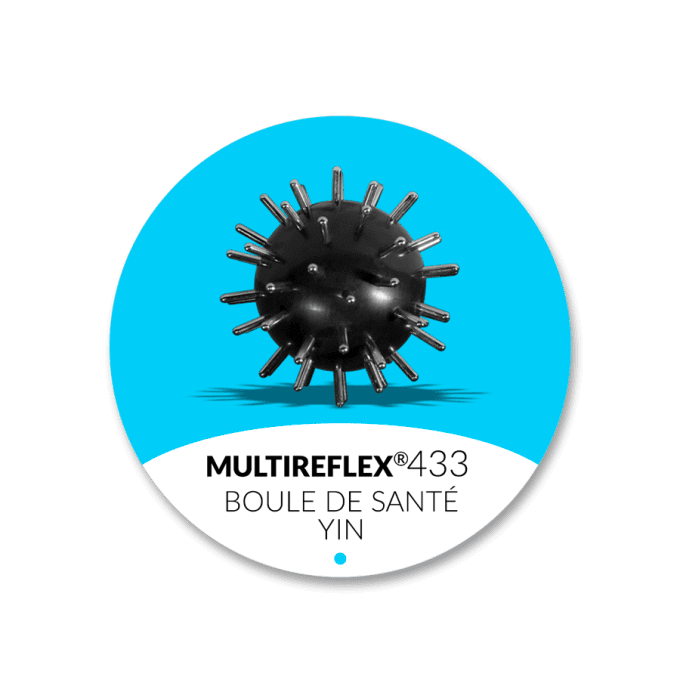 Boule de Santé Yin 433