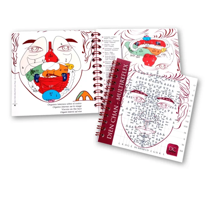 Minibook des shémas 751